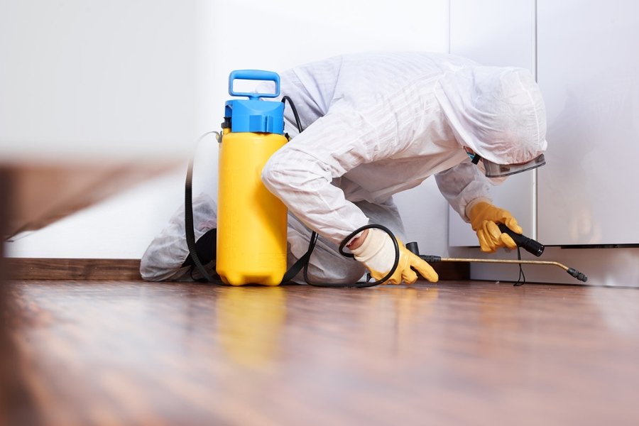 pest control service