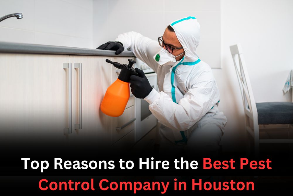 Best Pest Control Companies In Houston