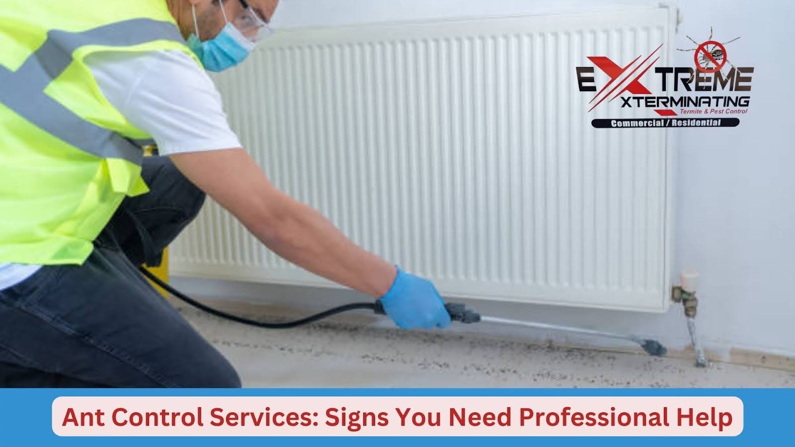 Ant control service