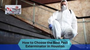 best pest control companies in Houston