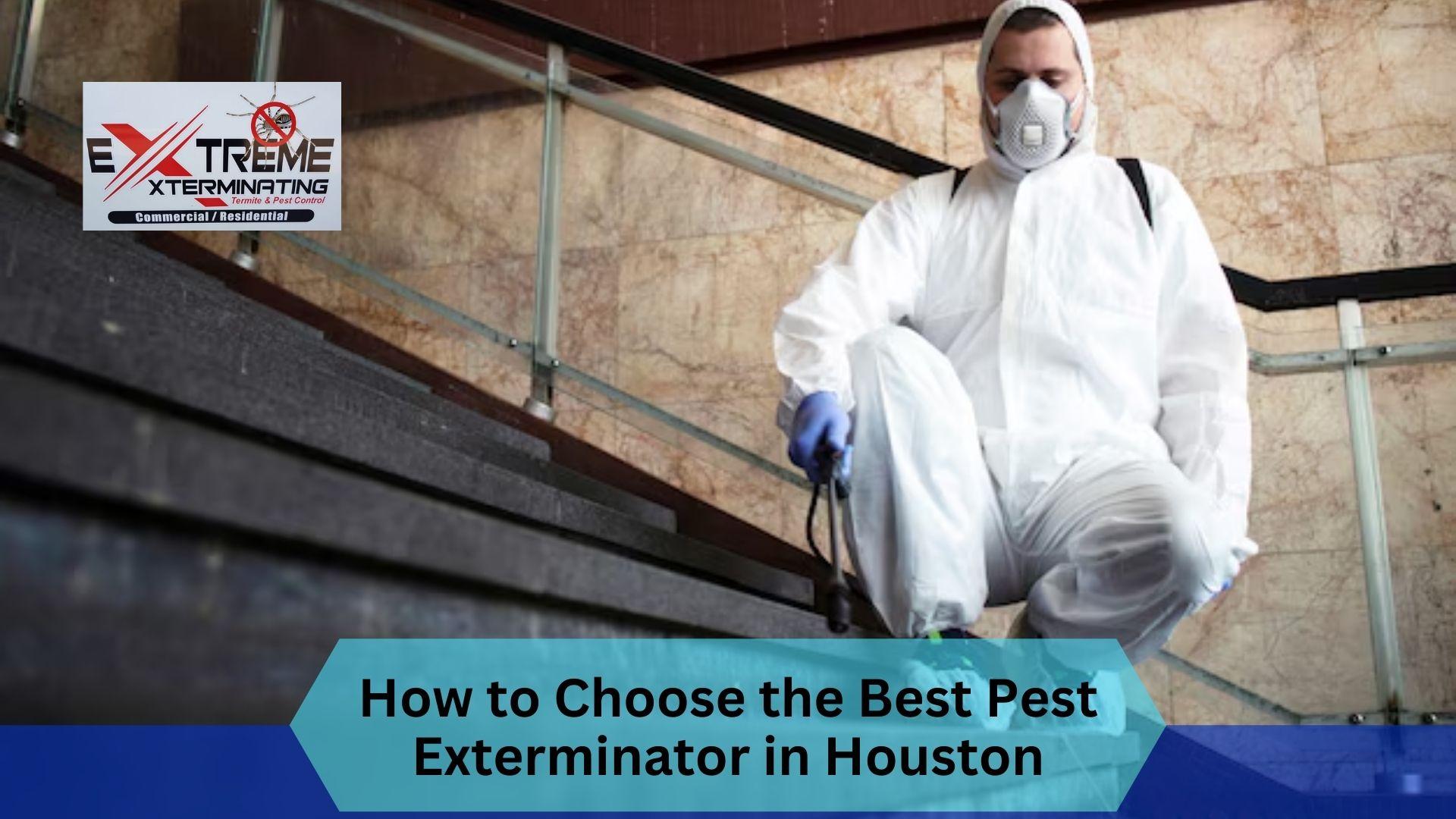 best pest control companies in Houston