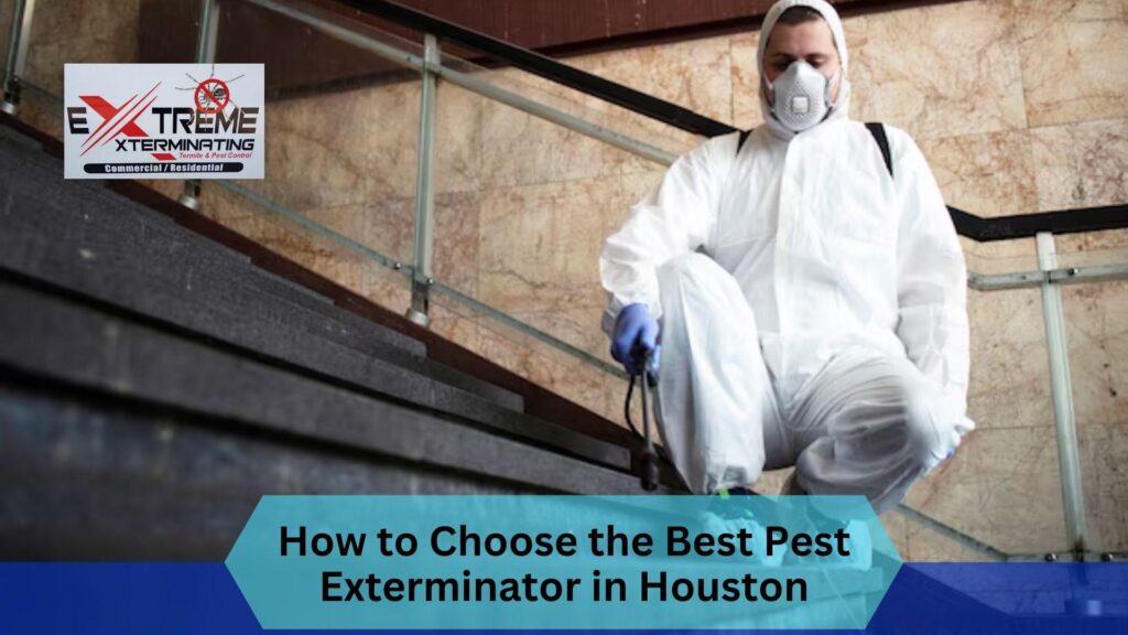 best pest control companies in Houston