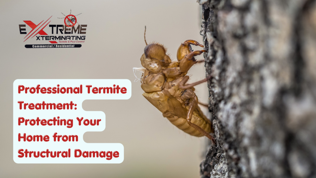 Professional termite treatment